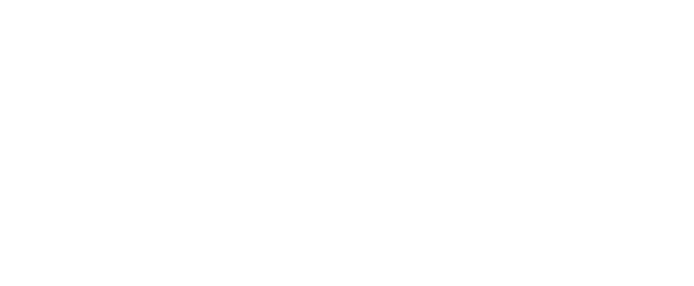 Location Hunter logo white